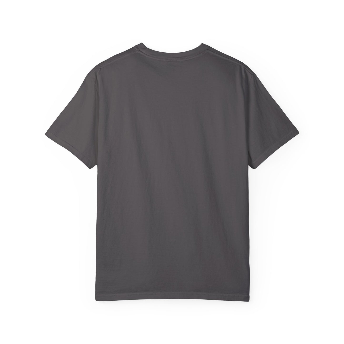 Doberman 1 Unisex Garment-Dyed T-shirt