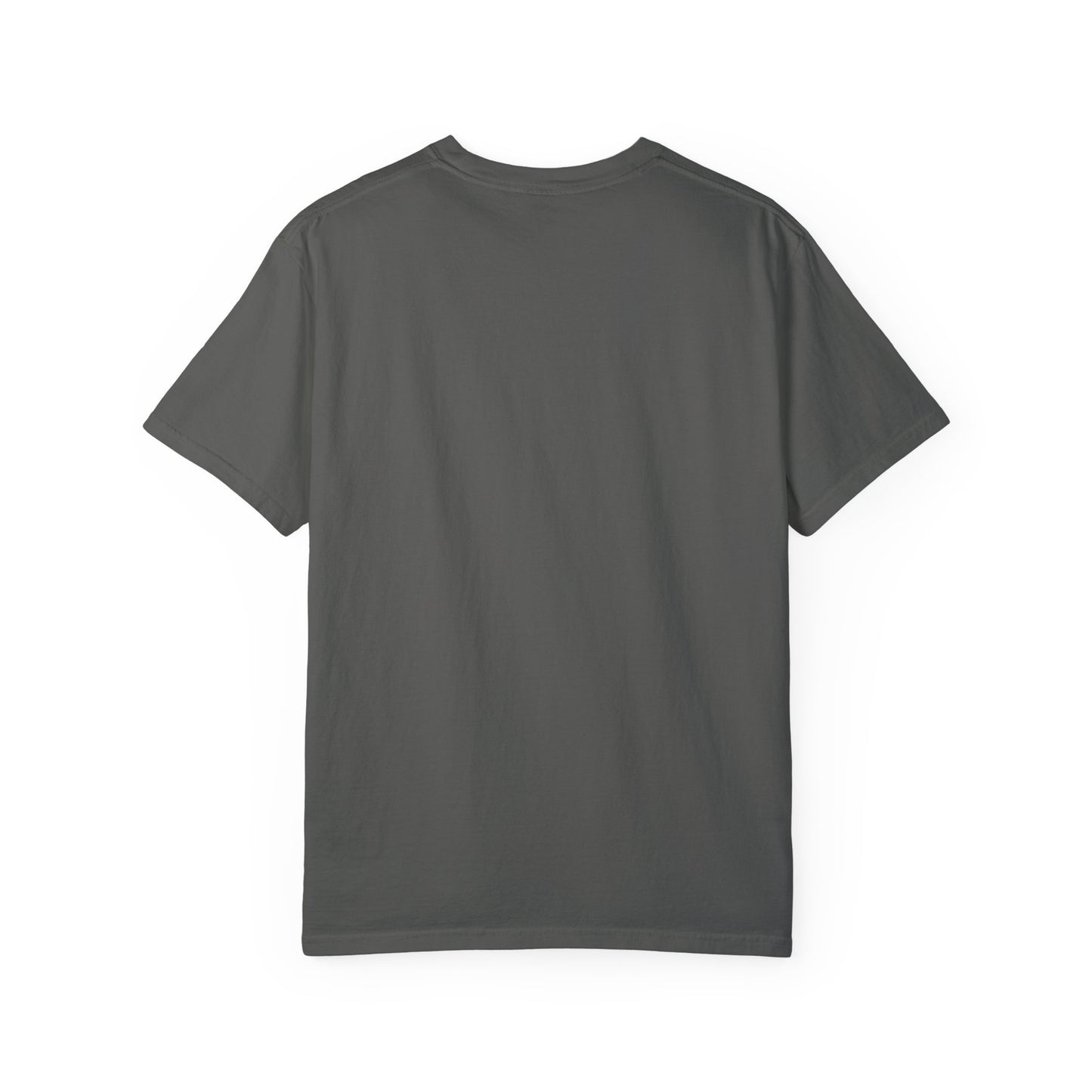 Doberman 1 Unisex Garment-Dyed T-shirt