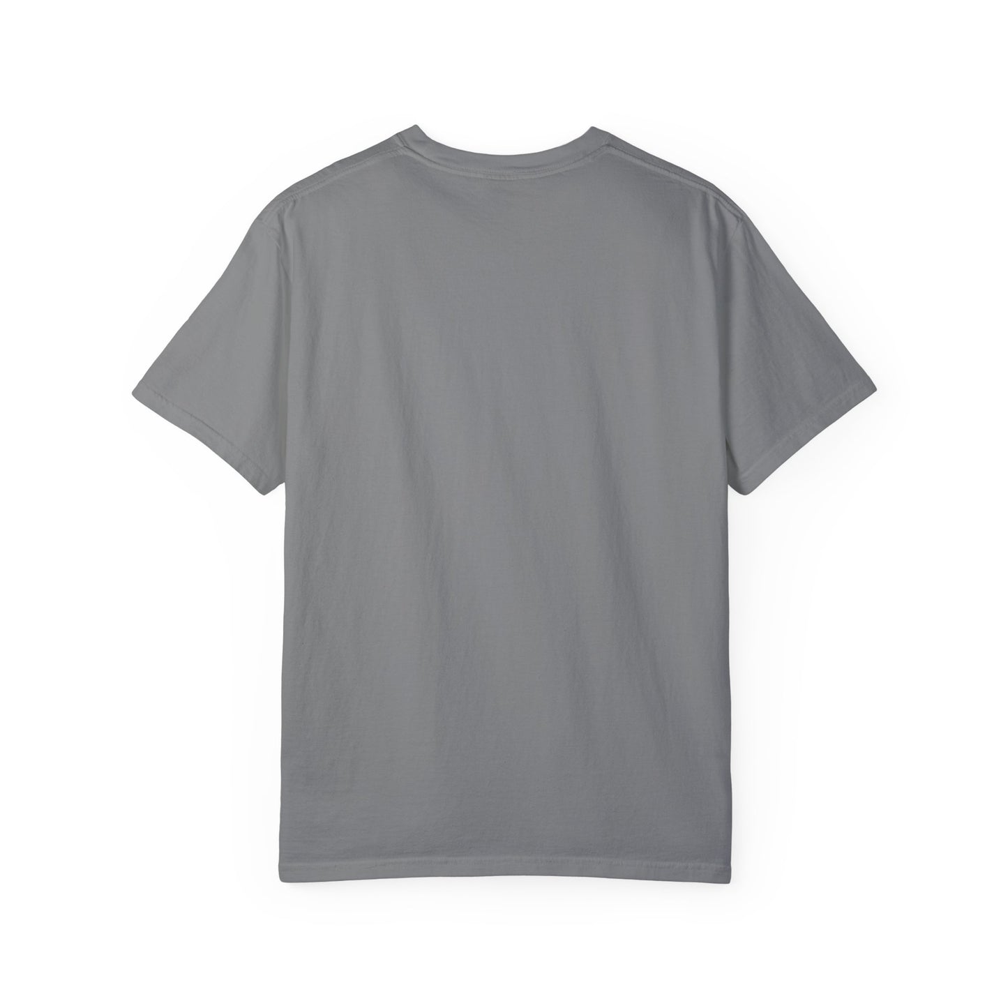 Doberman 1 Unisex Garment-Dyed T-shirt